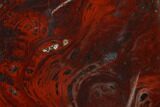 Polished Stromatolite (Collenia) - Minnesota #136908-2